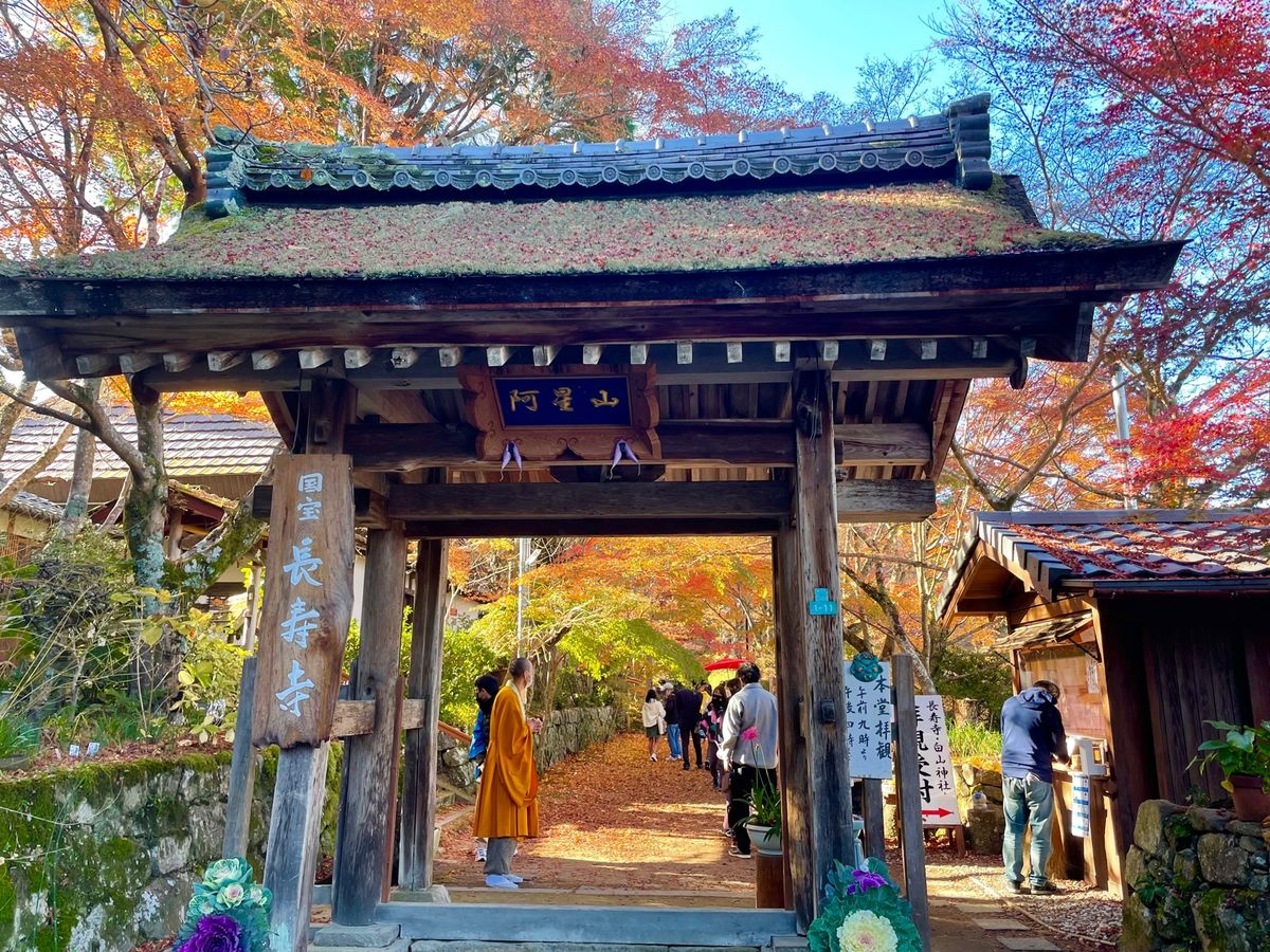 湖南三山の一つ長寿寺の紅葉