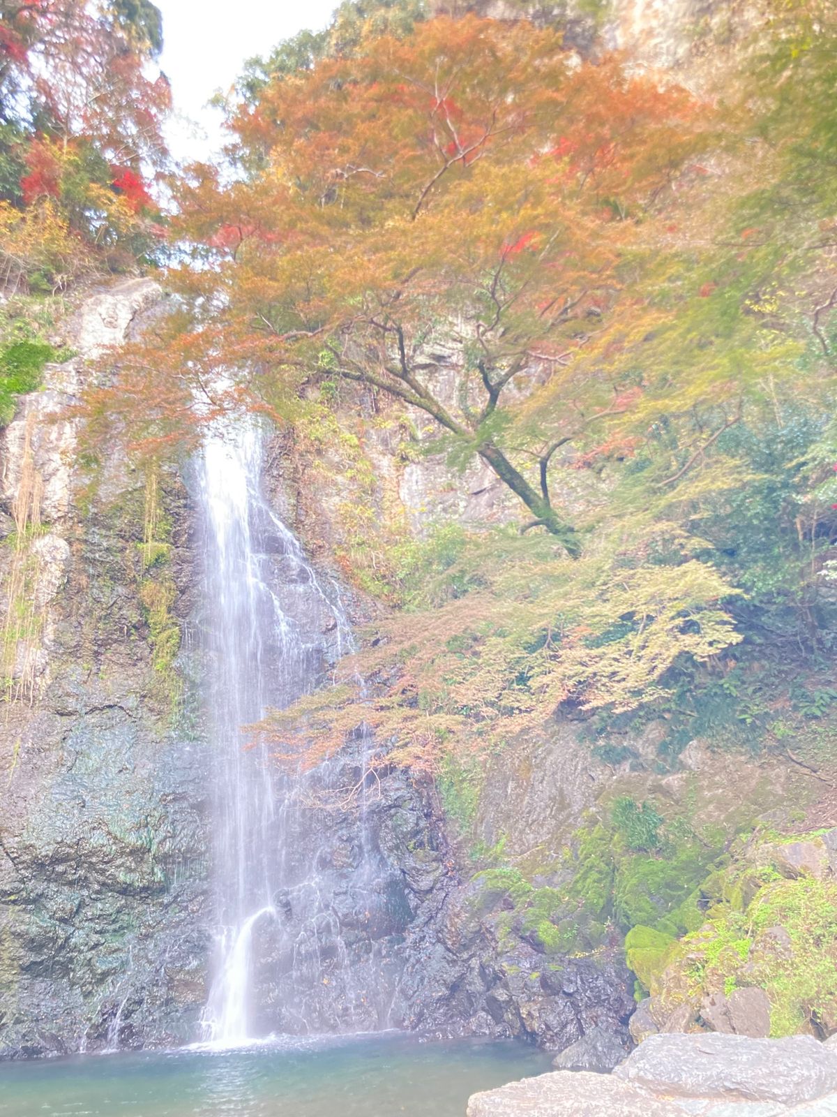 ⭐︎箕面の滝⭐︎
紅葉が見頃になる一週間前…