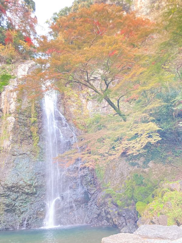 日本・大阪府「紅葉　箕面の滝」の写真：⭐︎箕面の滝⭐︎
紅葉が見頃になる一週間前…