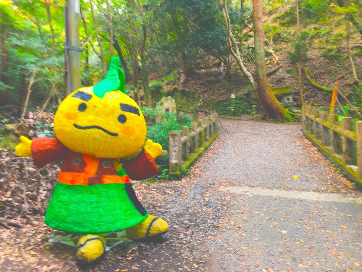 ⭐︎プチハイキング⭐︎
①380段の階段を登った展望台（まぁまぁ過酷）
②...