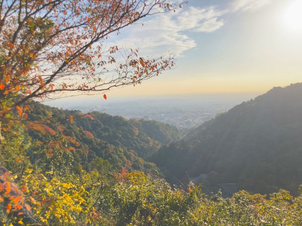 日本・大阪府「紅葉　箕面の滝」の写真：⭐︎プチハイキング⭐︎
①380段の階段...