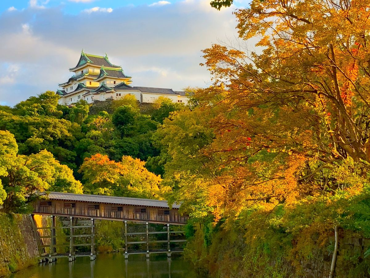 ⭐︎和歌山城⭐︎
・別名　虎伏城
・わかやま歴史館近くから見えるお城が圧巻...