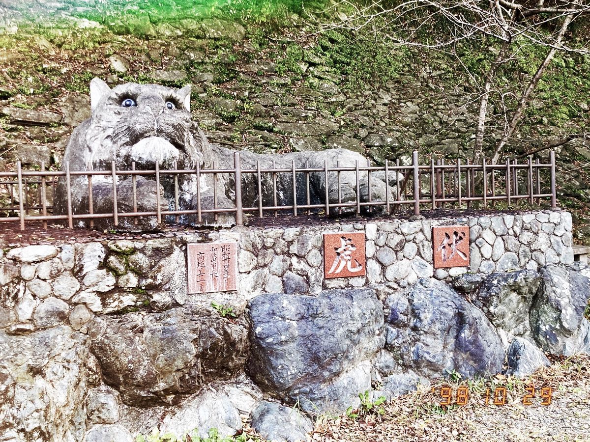 ⭐︎和歌山城⭐︎
・別名　虎伏城
・わかやま歴史館近くから見えるお城が圧巻...