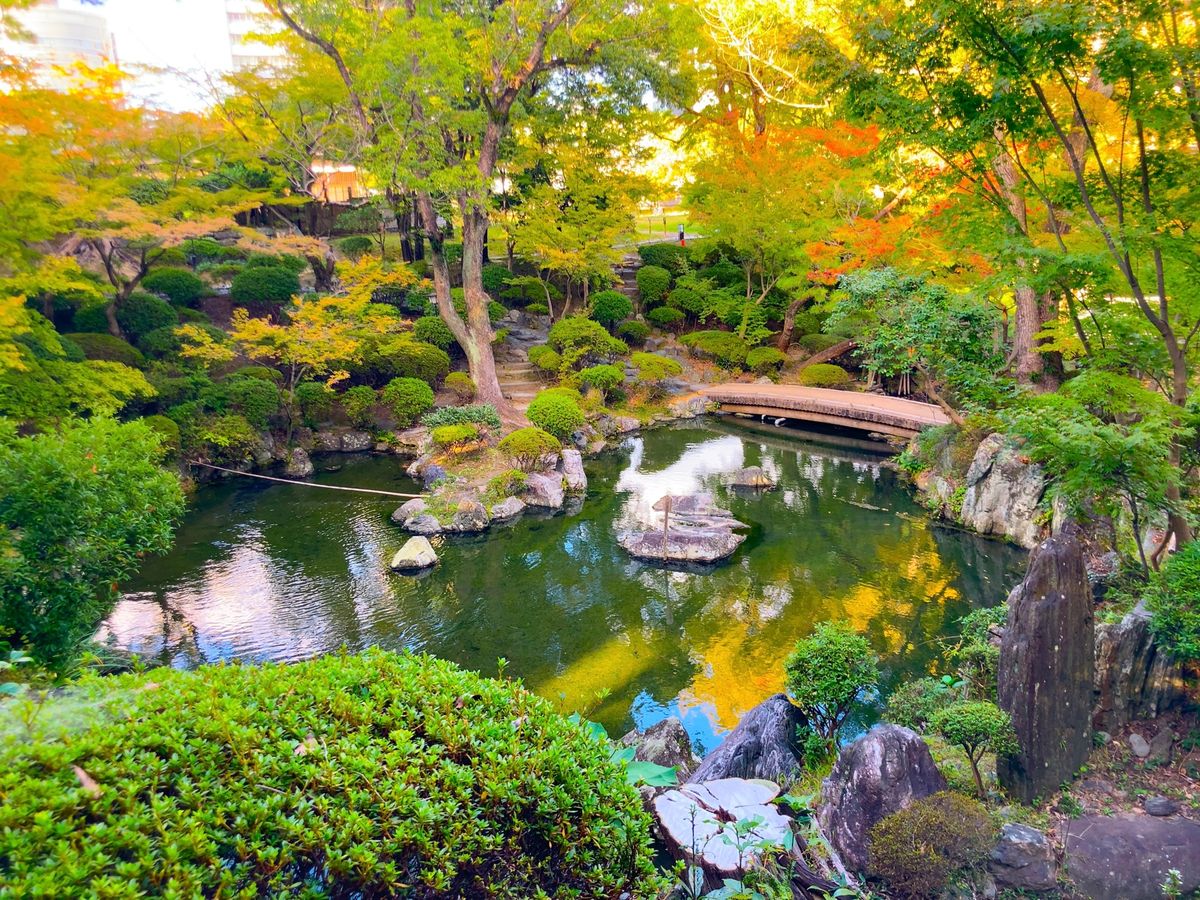⭐︎和歌山城⭐︎
・別名　虎伏城
・わかやま歴史館近くから見えるお城が圧巻...