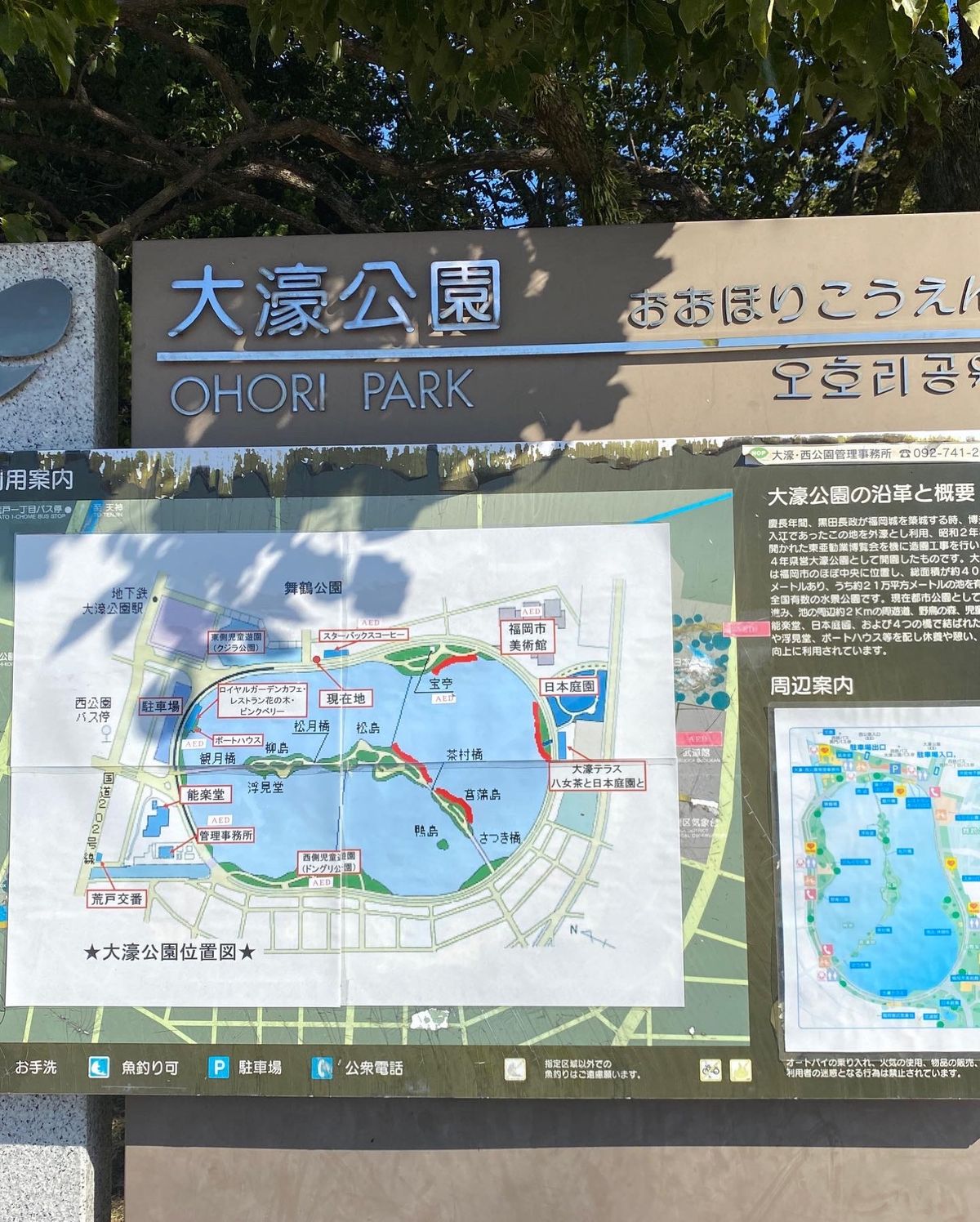 福岡来たらゴッホも来てるって言うからゴッホって来た。
福岡市美術館は初めて。