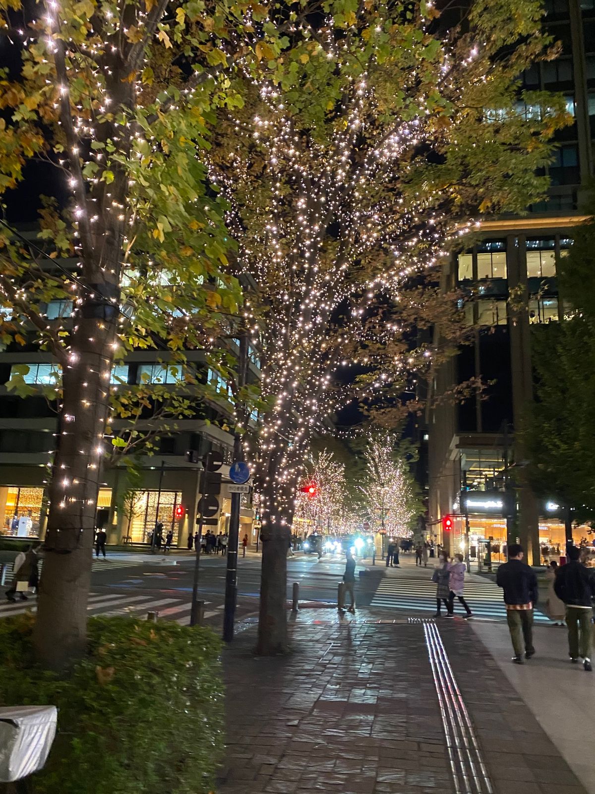 丸の内のイルミネーション