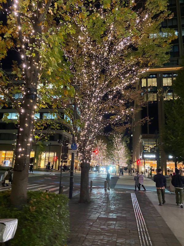 日本・千葉県「妻が泊まってみたいというホテル宿泊の旅」の写真：丸の内のイルミネーション