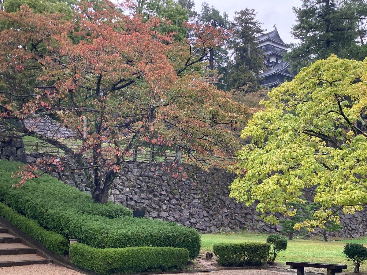 ⭐︎松江城⭐︎
・国宝　松江城
・雨も滴る良いお城
・城内の柱に隠された♡...