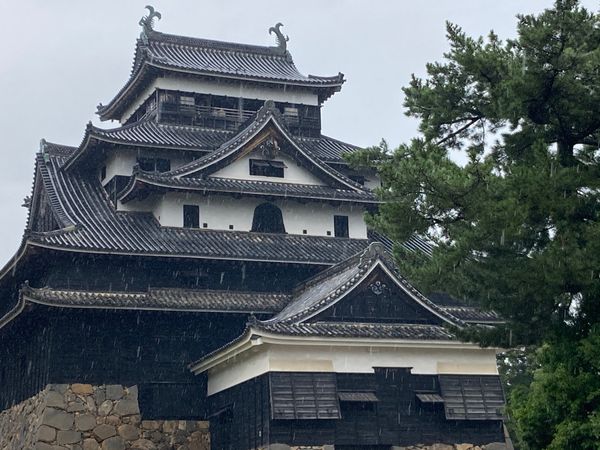 日本・島根県「一人気ままに島根旅行」の写真：⭐︎松江城⭐︎
・国宝　松江城
・雨も滴...
