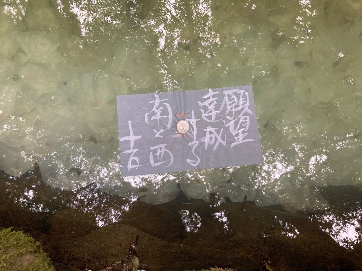 ⭐︎八重神社⭐︎
・縁結びの大親神
・鏡の池の縁占い