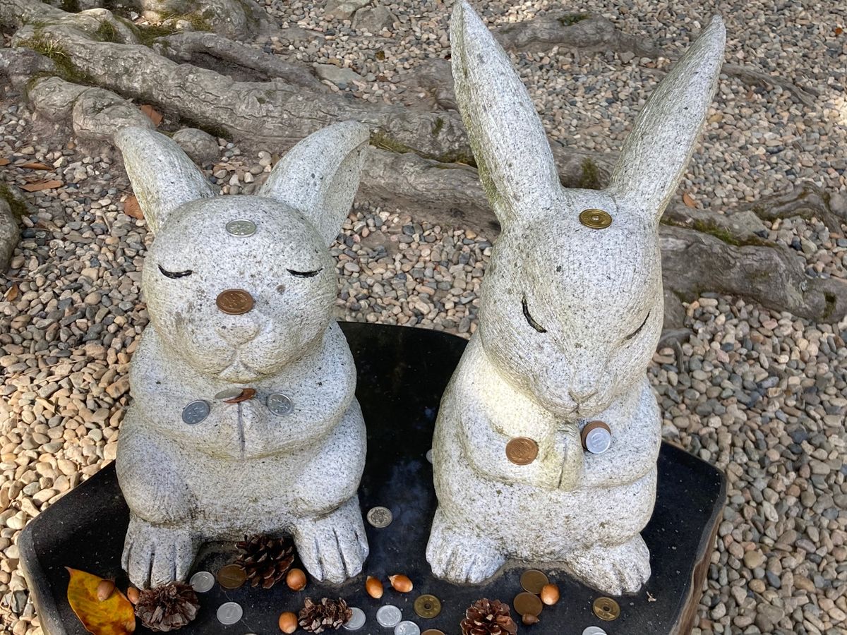 ⭐︎出雲大社⭐︎
①二の鳥居（勢溜の大鳥居）
②日本武尊
③裏から御本殿に...