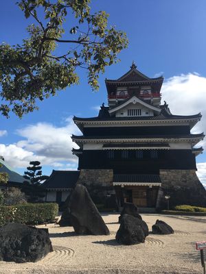 ⭐︎清洲城⭐︎
・駅から徒歩15分
・急に現れるその姿にテンション上がる
...