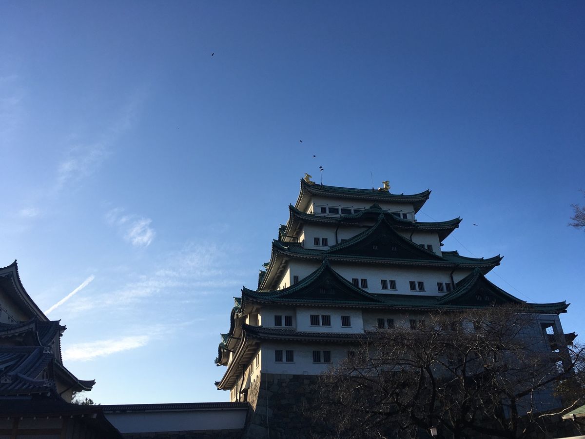 ⭐︎名古屋城⭐︎
・天守閣閉館中
・金ピカ本丸御殿を堪能
・加藤清正公の像