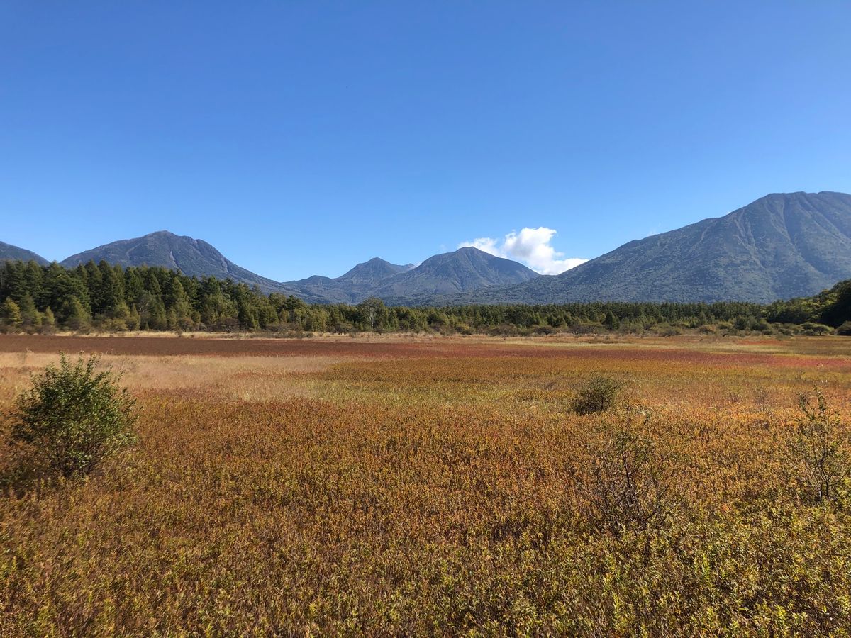 日光良かったです。