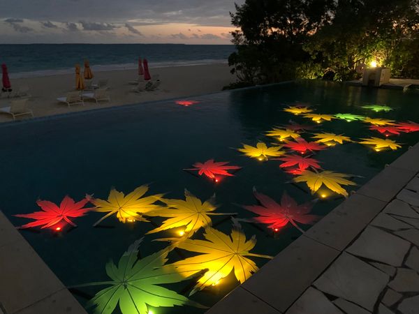 日本・小浜島「沖縄」の写真