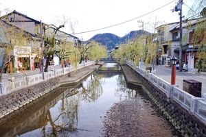 城崎温泉町巡り
温泉は入らず…
温泉入りたーい！♨️