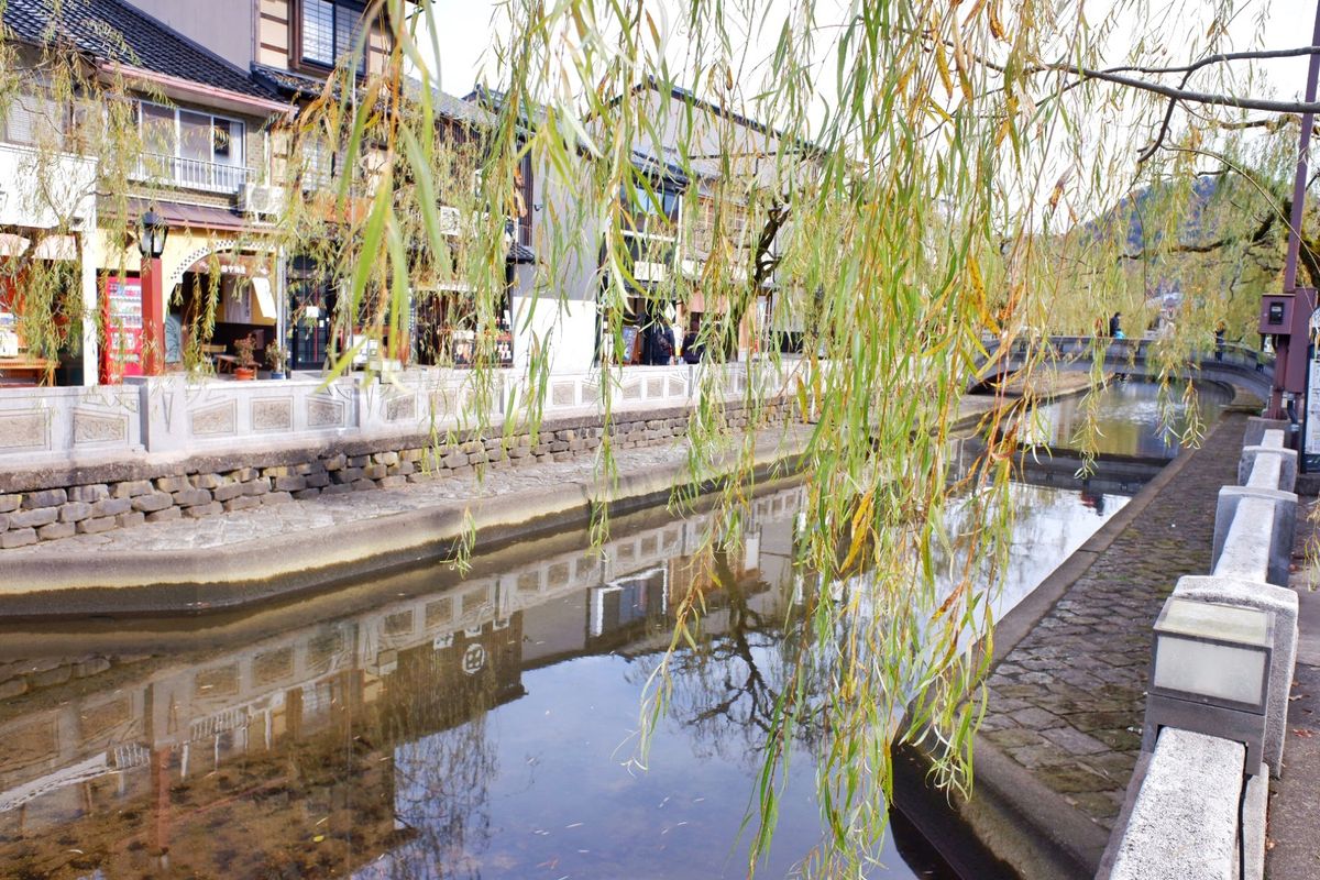 城崎温泉町巡り
温泉は入らず…
温泉入りたーい！♨️