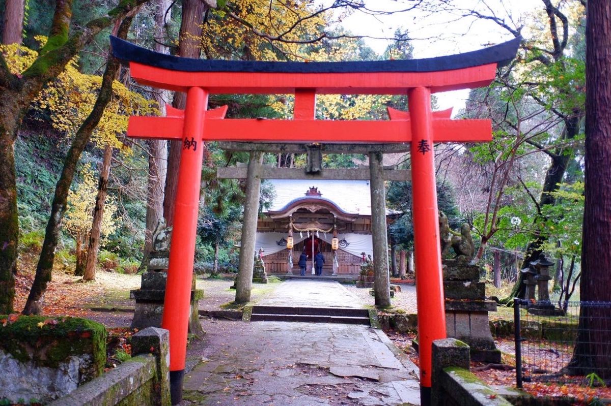 稲荷神社の雰囲気良かった🍁
