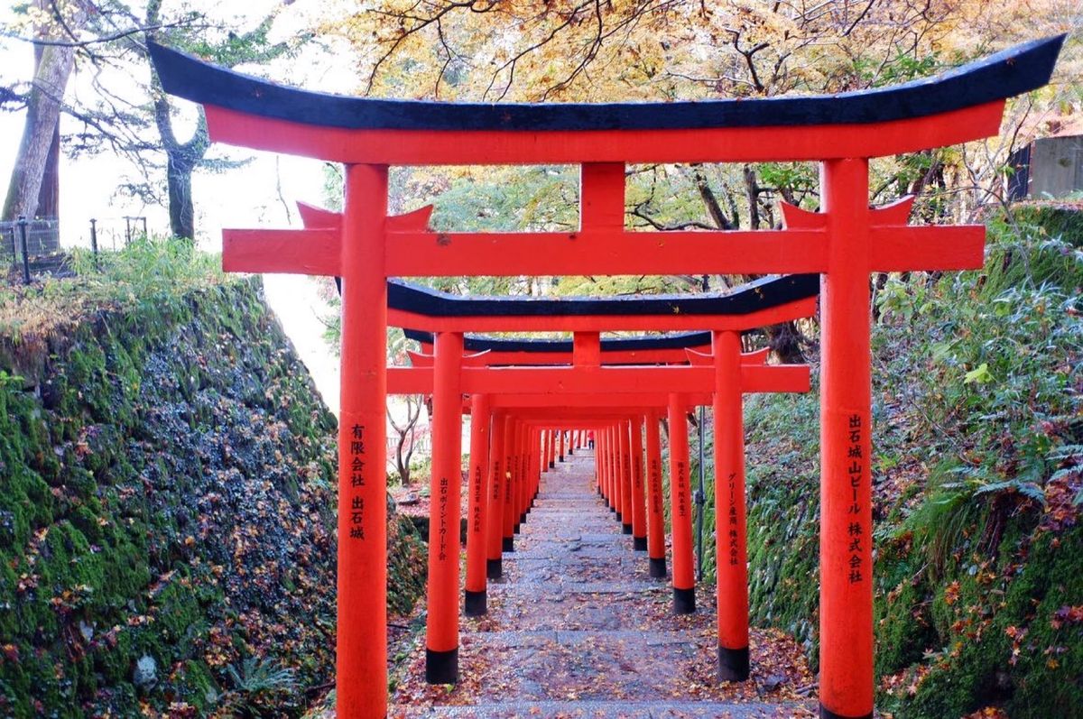 稲荷神社の雰囲気良かった🍁
