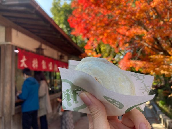 日本・博多「福岡旅✈︎ 2021 vol.2」の写真