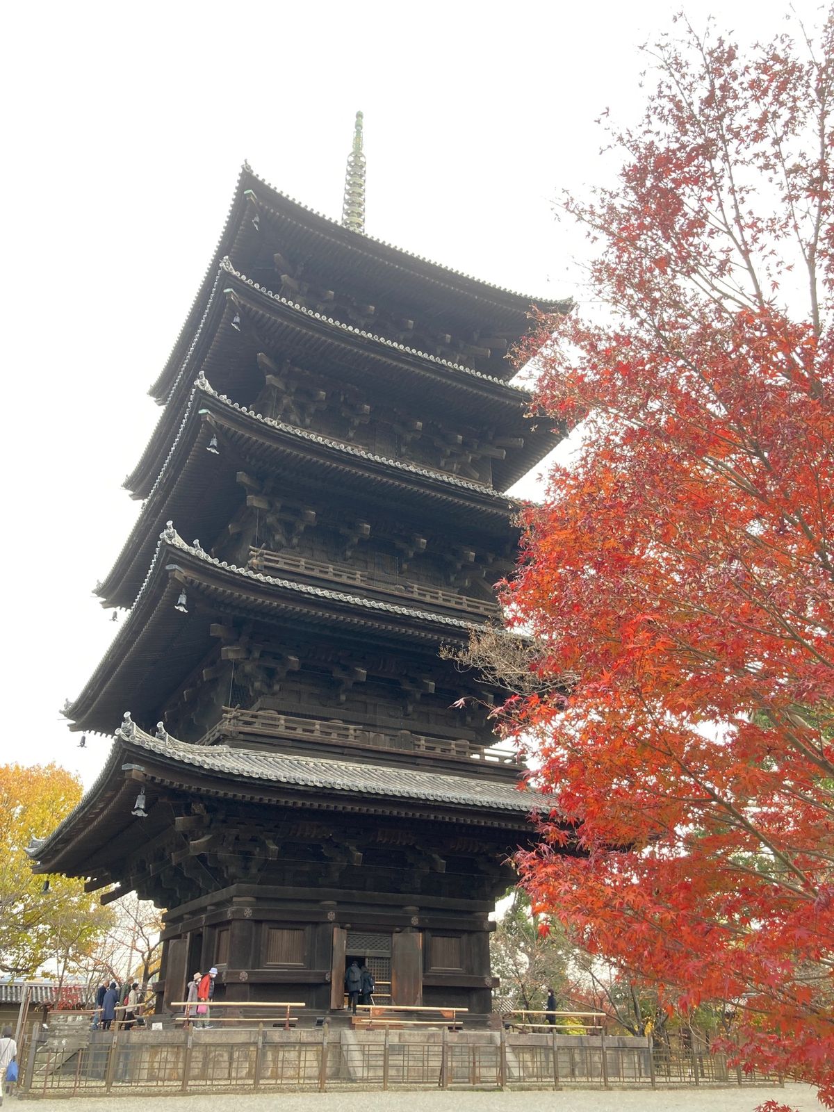 東寺へ
五重塔の心柱も見れました！