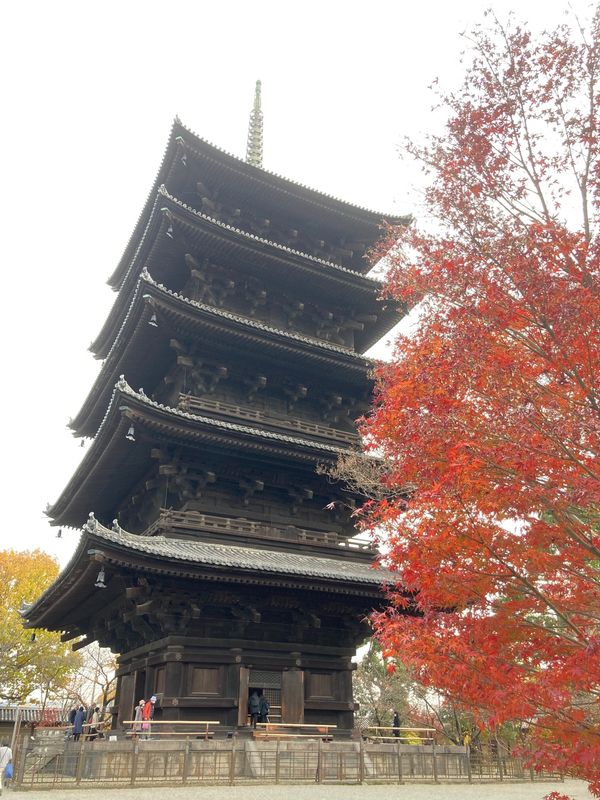 日本・京都府「秋の京都」の写真：東寺へ
五重塔の心柱も見れました！