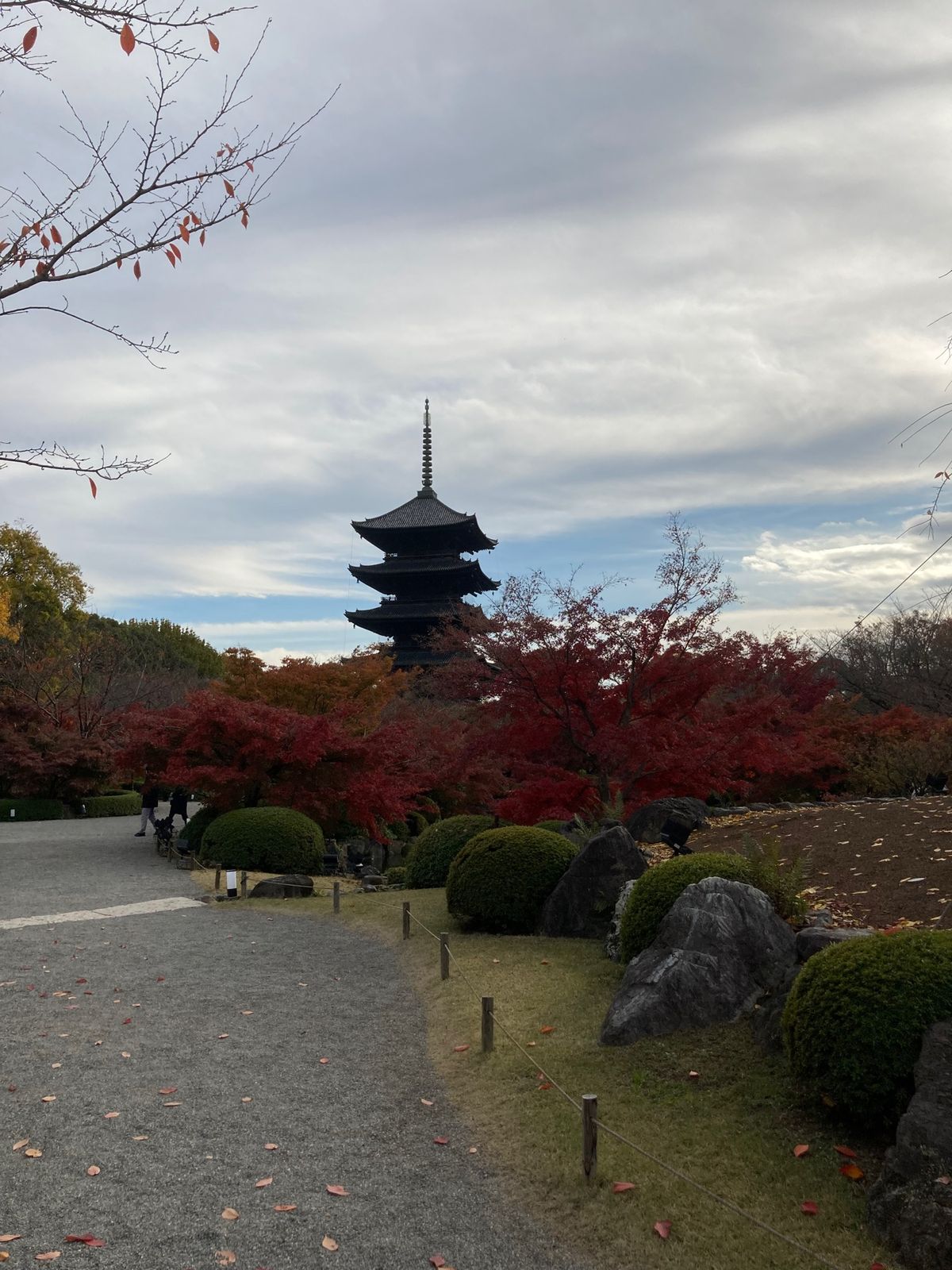 東寺へ
五重塔の心柱も見れました！