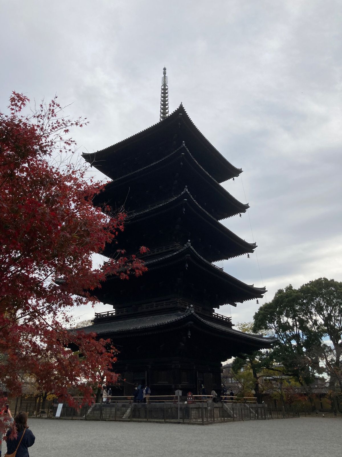 東寺へ
五重塔の心柱も見れました！