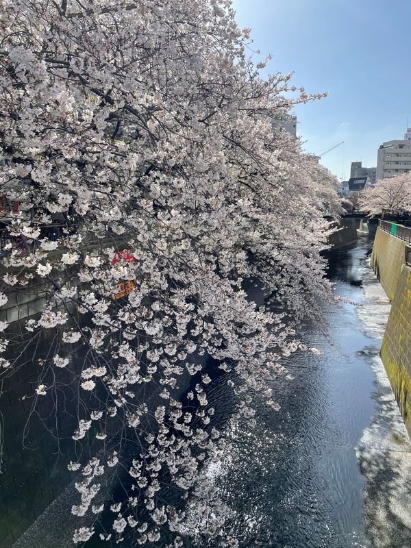 日本・東京都「東京都」の写真