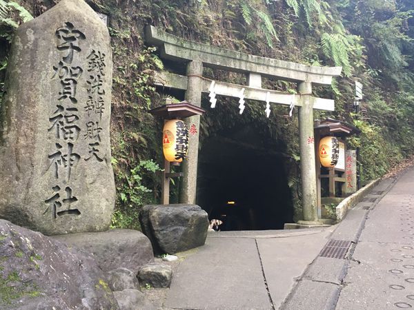 日本・鎌倉「神奈川　家族旅行」の写真：⭐︎鎌倉散策⭐︎
・宇賀福神社で銭洗💴
...