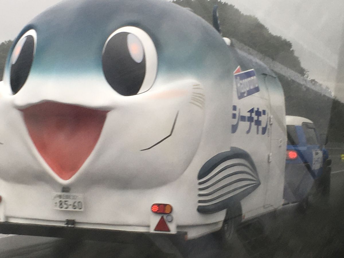 ⭐︎道中も楽しむ高速道路⭐︎
①大雨の向こうから視線を感じる…
②シーチキ...
