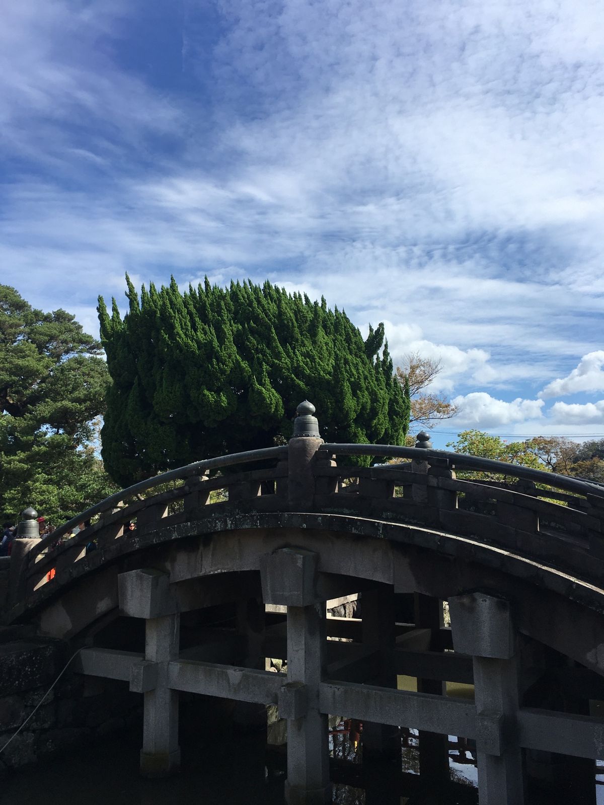 ⭐︎鎌倉散策⭐︎
・電車からの眺めが絶景
・鶴岡八幡宮