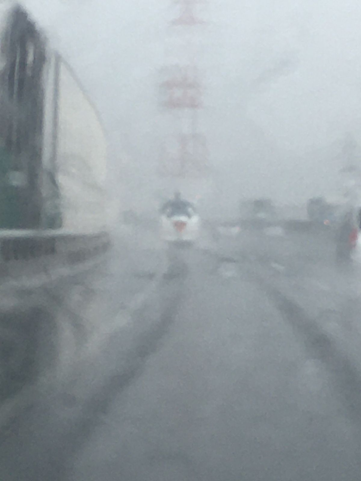 ⭐︎道中も楽しむ高速道路⭐︎
①大雨の向こうから視線を感じる…
②シーチキ...