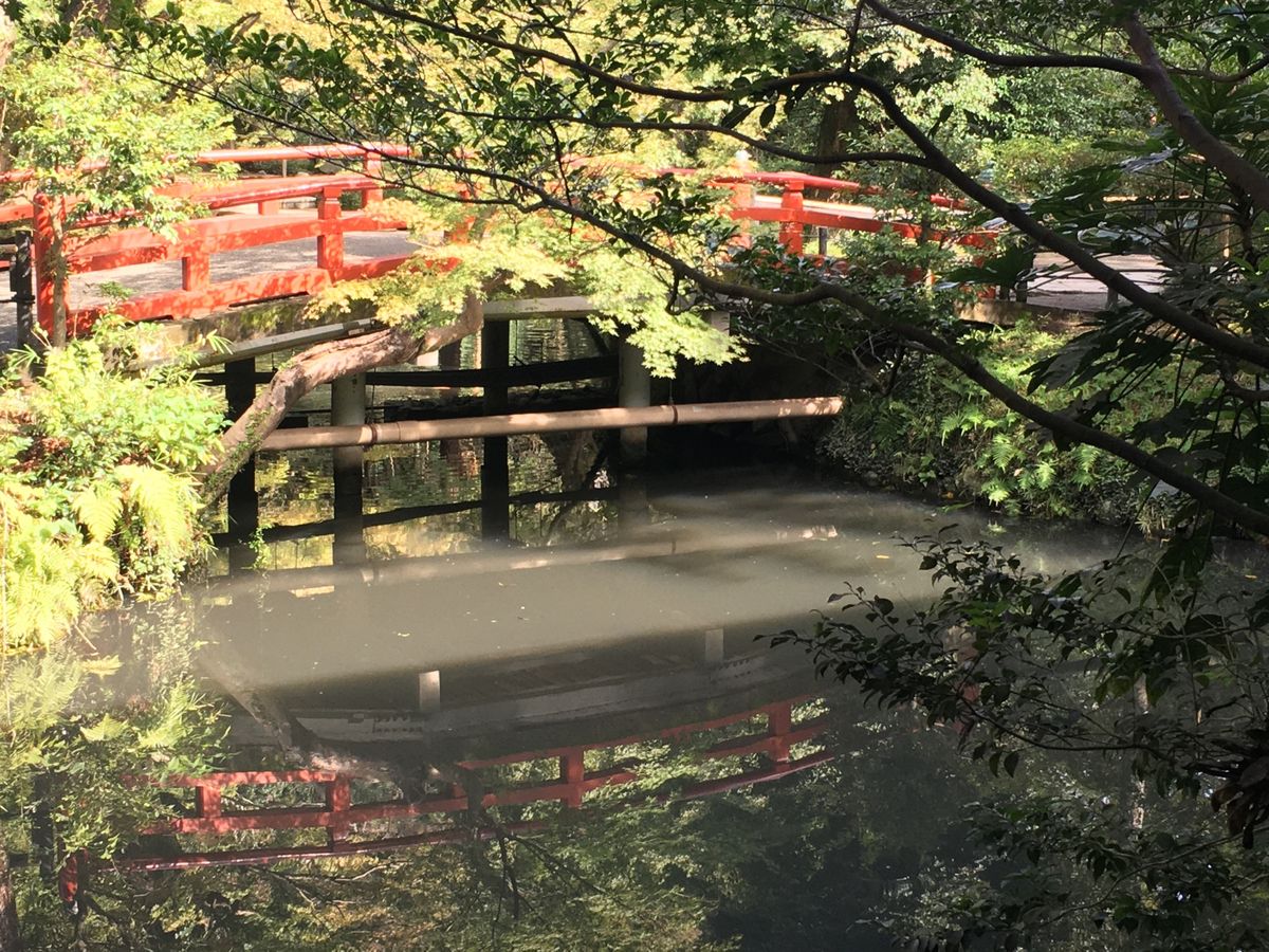 ⭐︎鎌倉散策⭐︎
・電車からの眺めが絶景
・鶴岡八幡宮