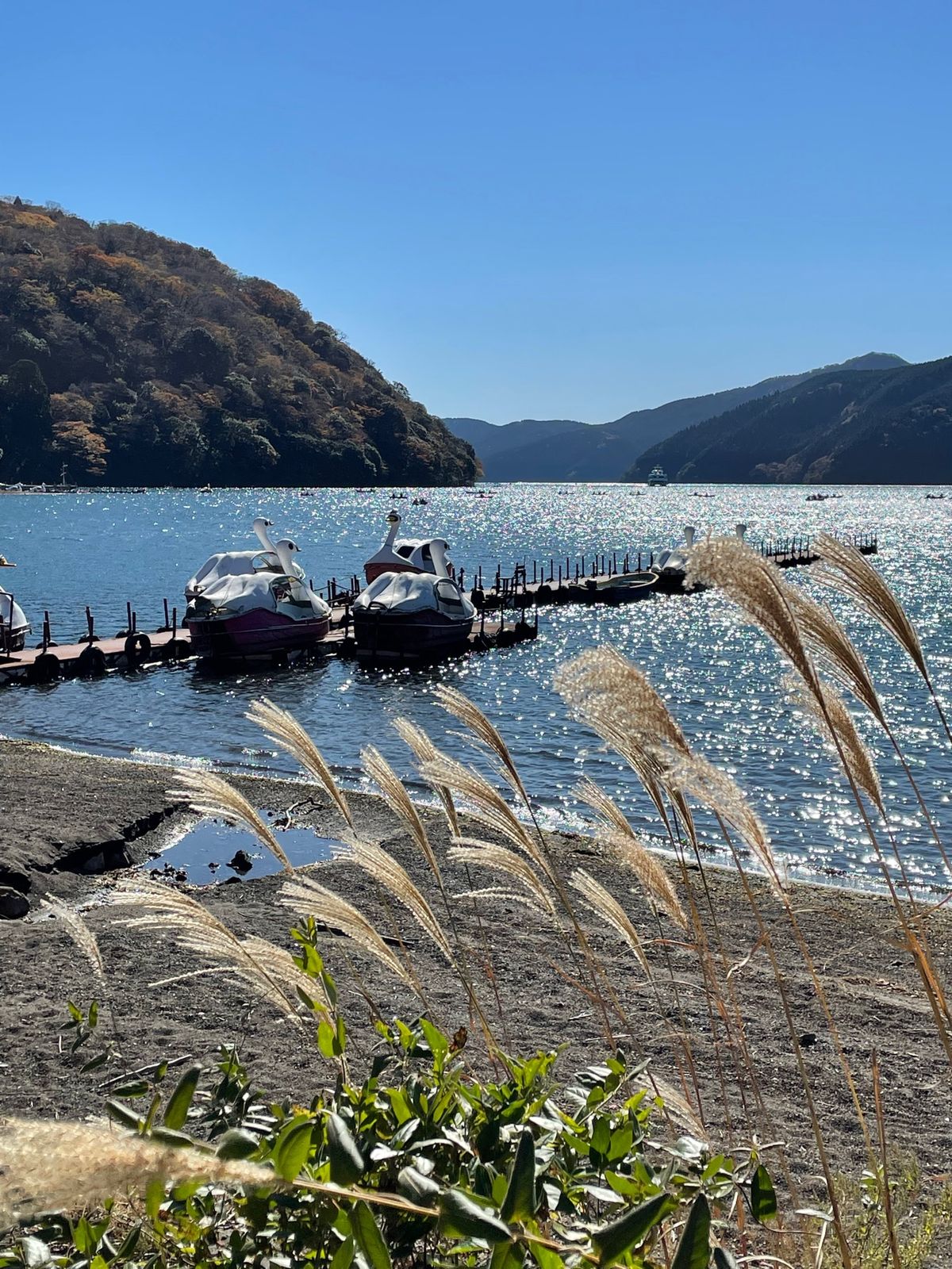 富士山に心を奪われたけど、一応紅葉狩り🍁に行ったので芦ノ湖まで足を伸ばして...