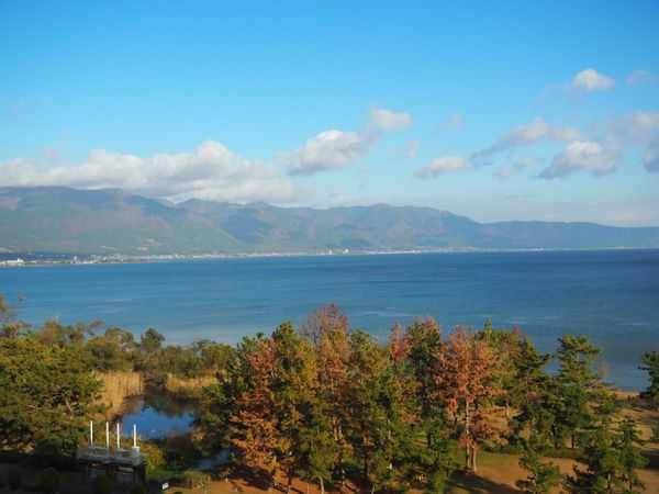 日本・京都府「母と滋賀、京都へ紅葉を見に」の写真