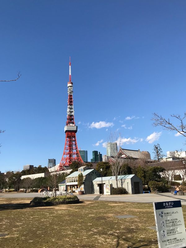 「東京」の写真