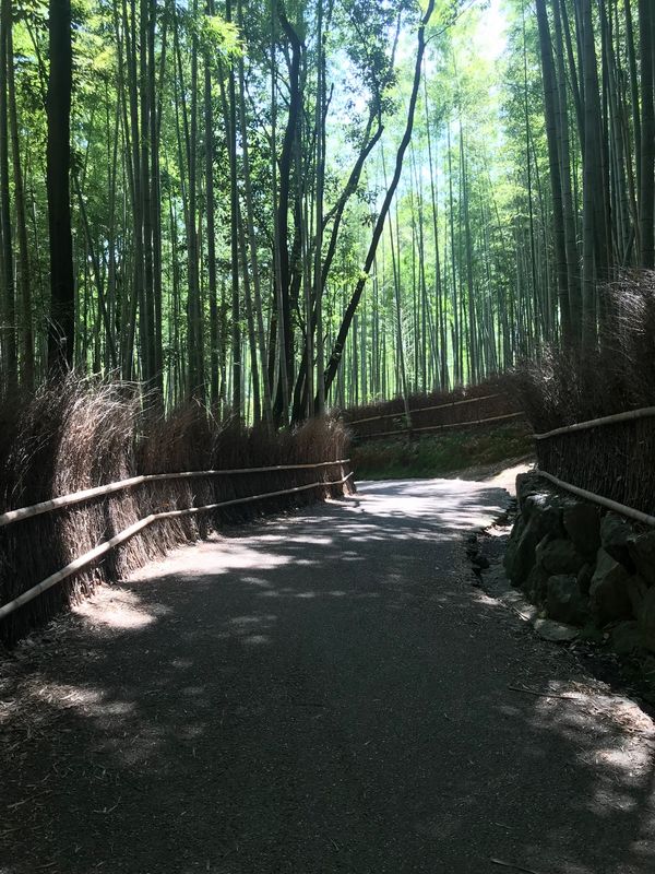 「京都」の写真