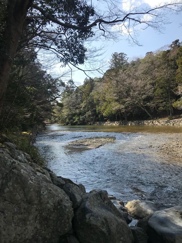 「伊勢神宮」の写真