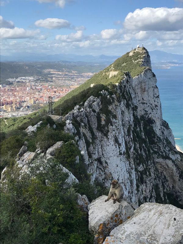ジブラルタル・ジブラルタル「ジブラルタル海峡を渡る」の写真：ロープウェイで山の上に上り、有名なザ・ロ...