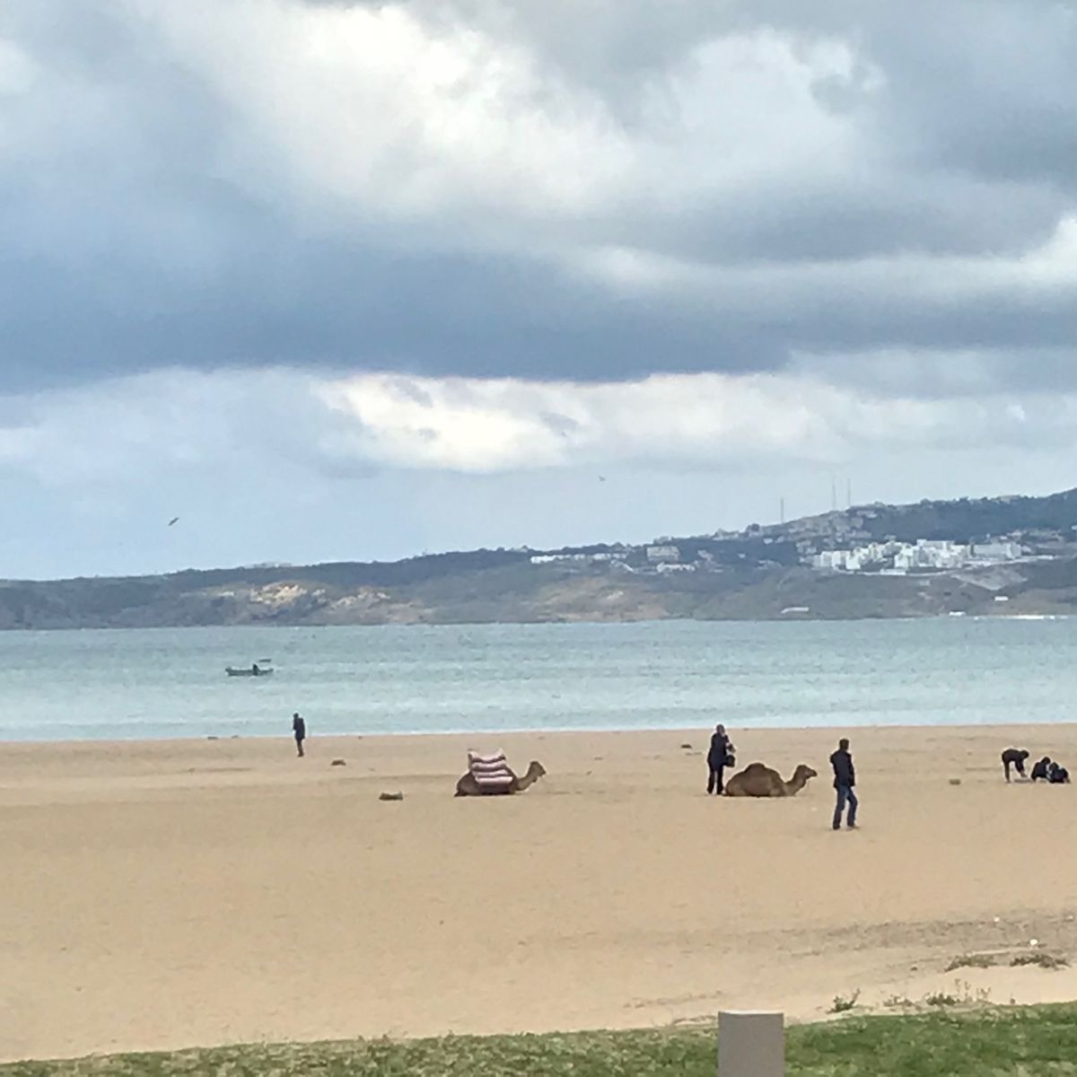 頭を強打した夫は念のため休ませておき、タンジェ旧市街から新市街まで一人で歩...