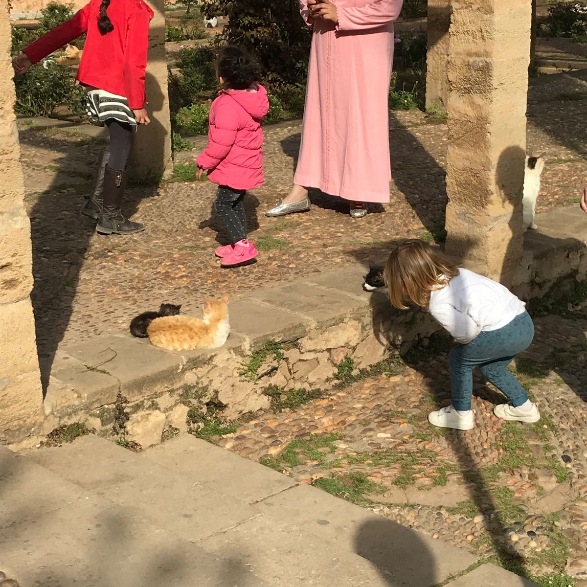 バスでタンジェからラバトに移動。
モロッコの首都は、カサブランカでもマラケ...