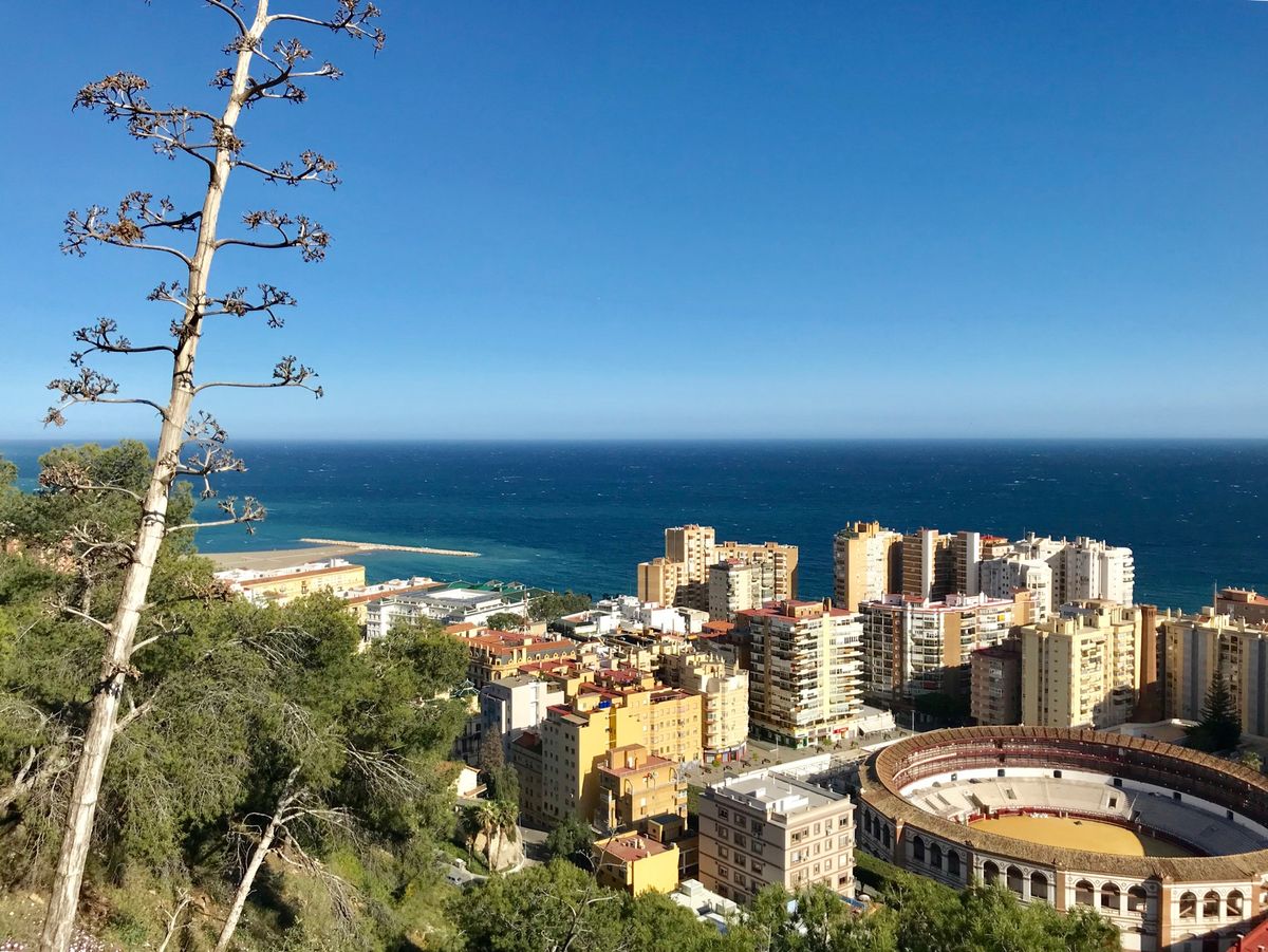 ヒーヒー言いながら高台にあるヒブラルファロ城に登る。素晴らしい眺め！
闘牛...