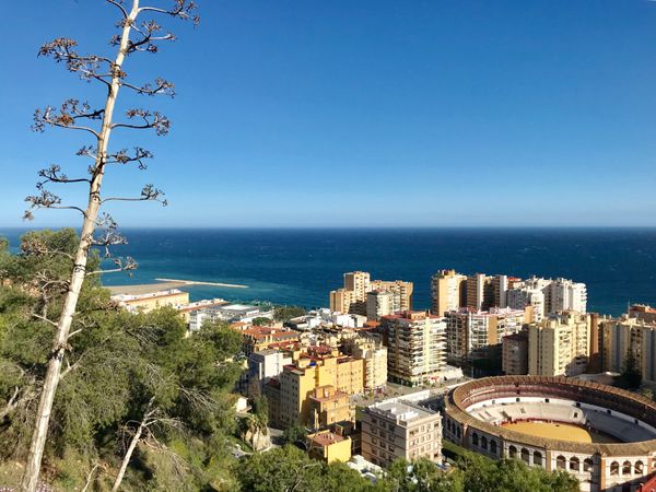 ジブラルタル・ジブラルタル「ジブラルタル海峡を渡る」の写真：ヒーヒー言いながら高台にあるヒブラルファ...