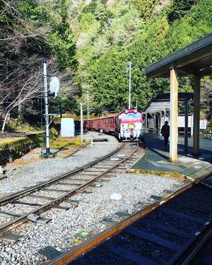 大井川鐵道の旅。
わたらせ鉄道並みの古さだったが、川は穏やかで駅もちょいち...