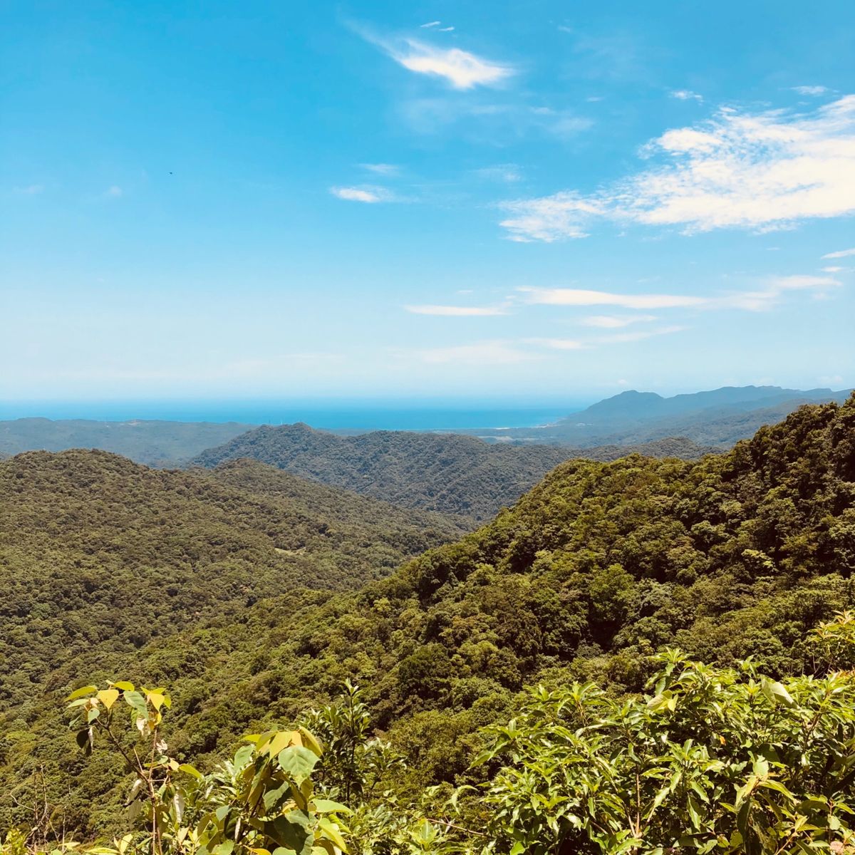 長期で滞在しましたが、5月になってロックダウンしていたので、退屈してました。
