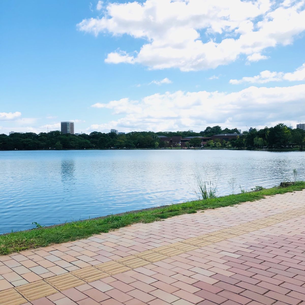 ご当地名物を求めて観光もちょっとしました😅