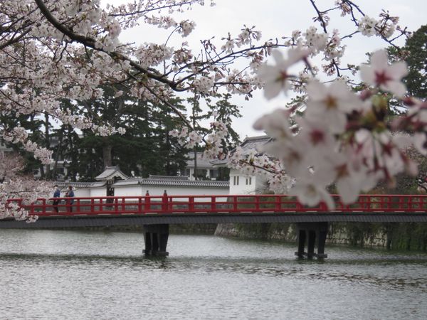 日本・神奈川県「気ままに小田原へ」の写真