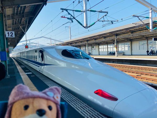 日本・島根県「島根ゆったり旅」の写真：新幹線で新山口まで行き、スーパーおきで島...