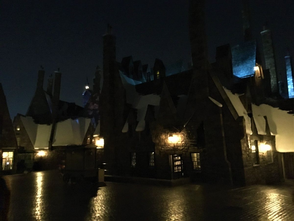 夜の雰囲気も最高に良かった、
特にホグワーツ、、、優勝だったな、、、笑
*...